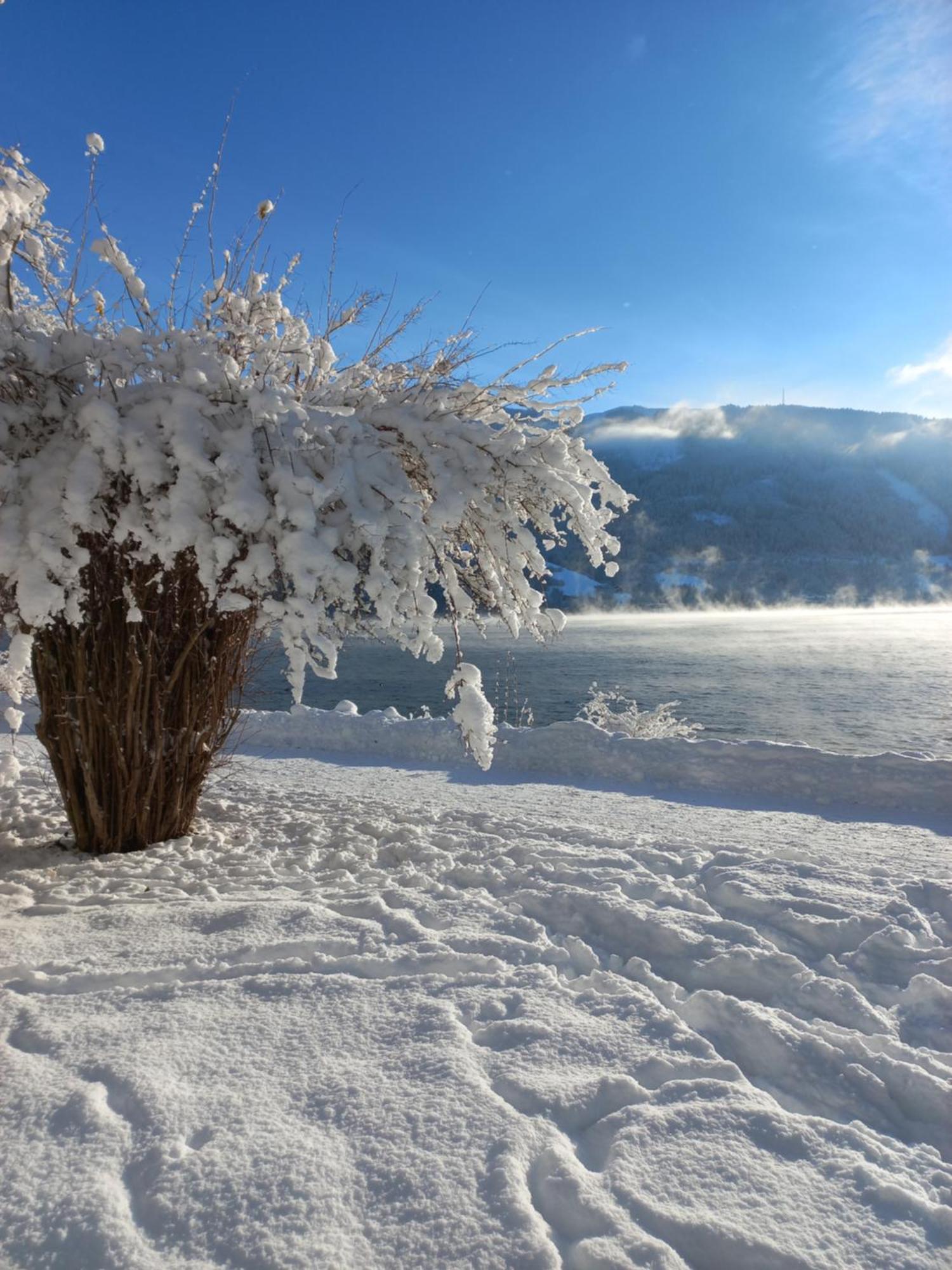 Hotel Pension Hubertus Zell am See Dış mekan fotoğraf